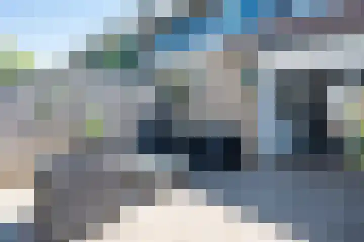 Zagerstraat 41 Son en Breugel thumbnail 37
