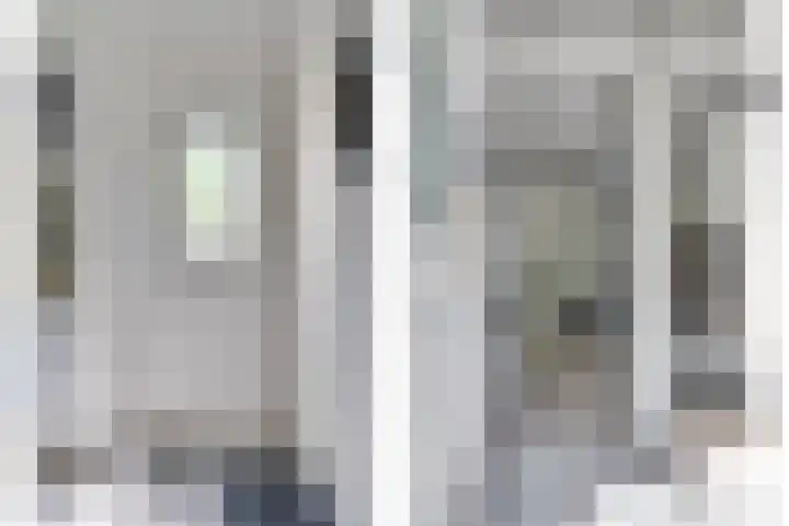 Zagerstraat 41 Son en Breugel thumbnail 6