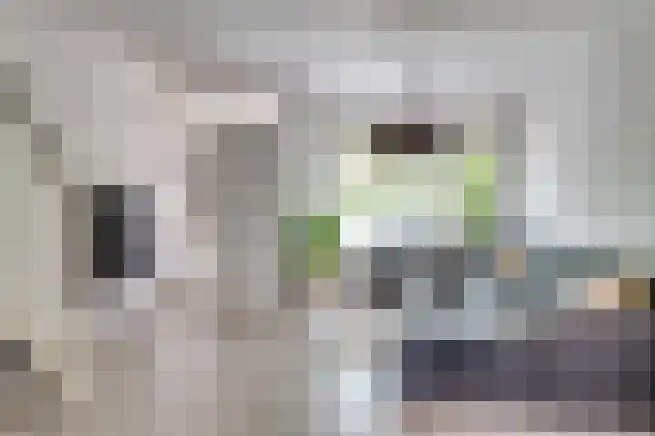 Zagerstraat 41 Son en Breugel thumbnail 7