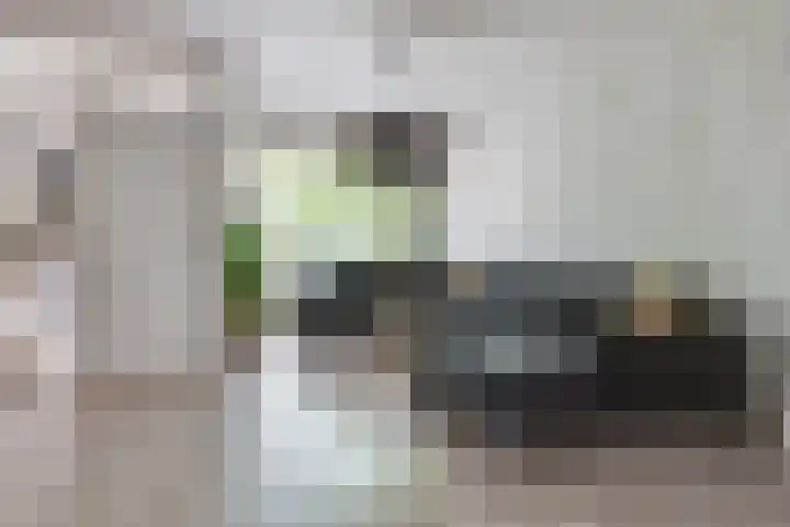 Zagerstraat 41 Son en Breugel thumbnail 8