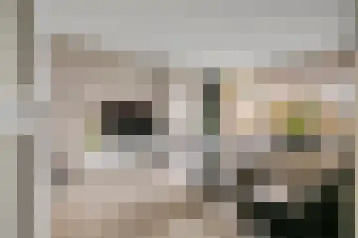 Zakdragerstraat 5 Gorinchem thumbnail 4