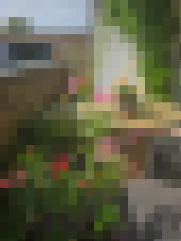 Zakedijkje 38 D Bergen (NH) thumbnail 19