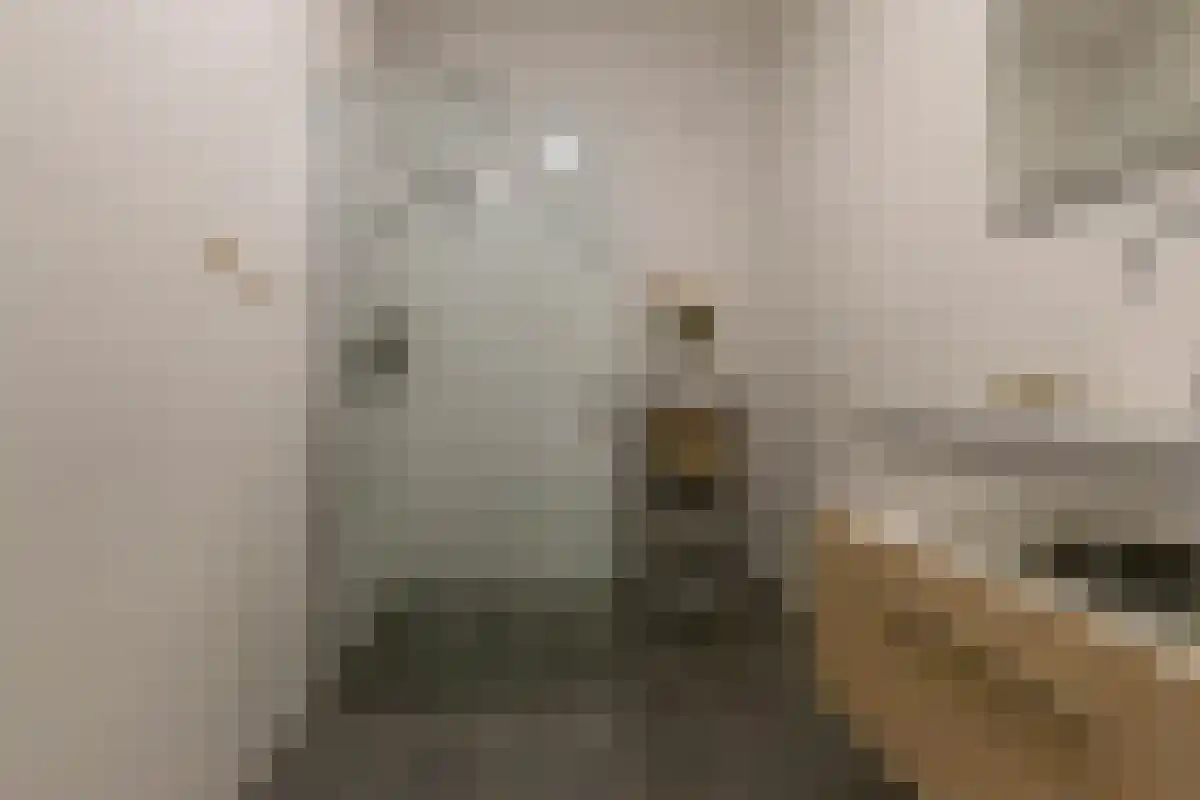 Zakedijkje 38 E Bergen (NH) thumbnail 18