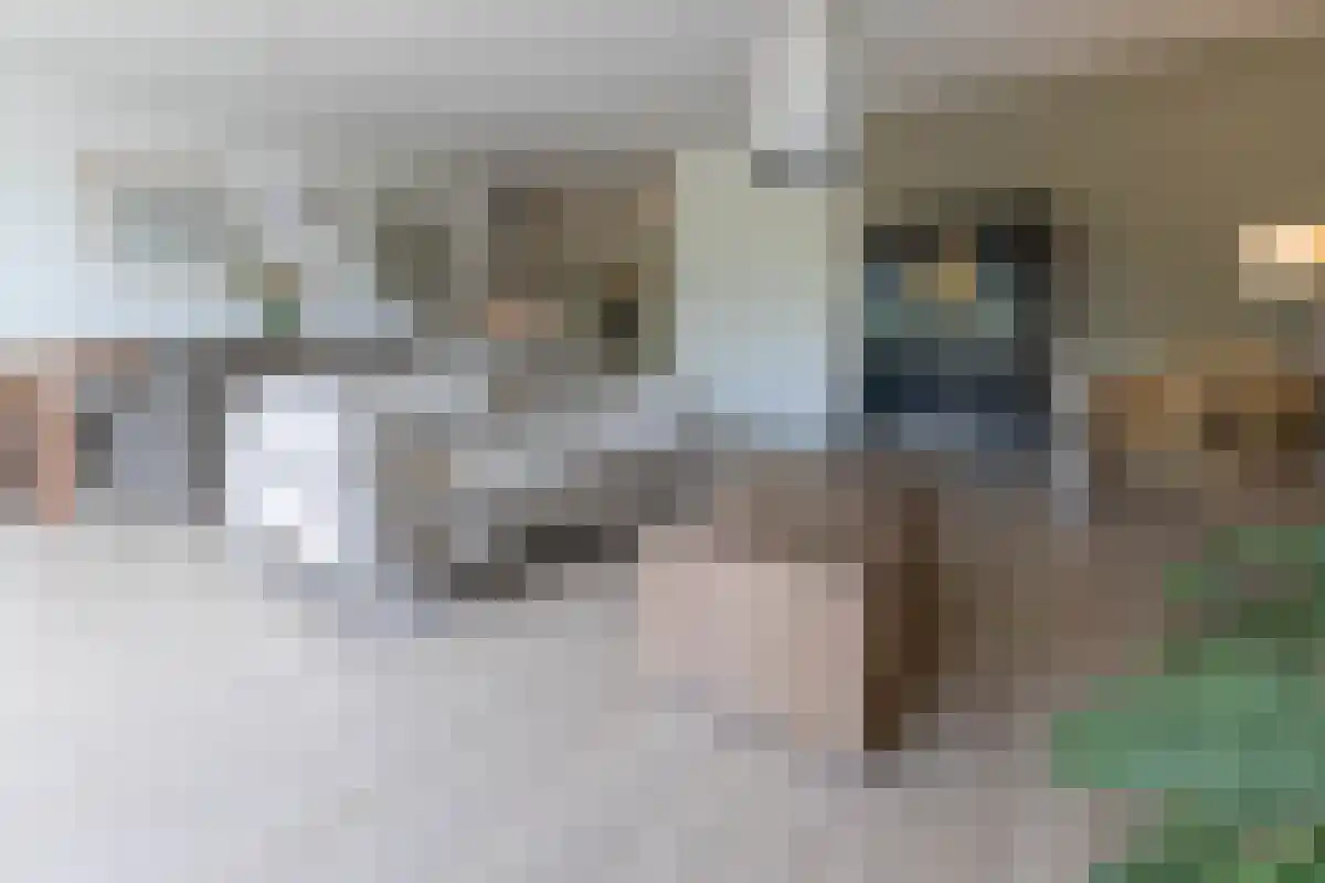 Zakedijkje 38 E Bergen (NH) thumbnail 5