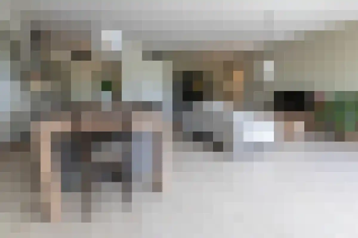 Zakedijkje 38 E Bergen (NH) thumbnail 6