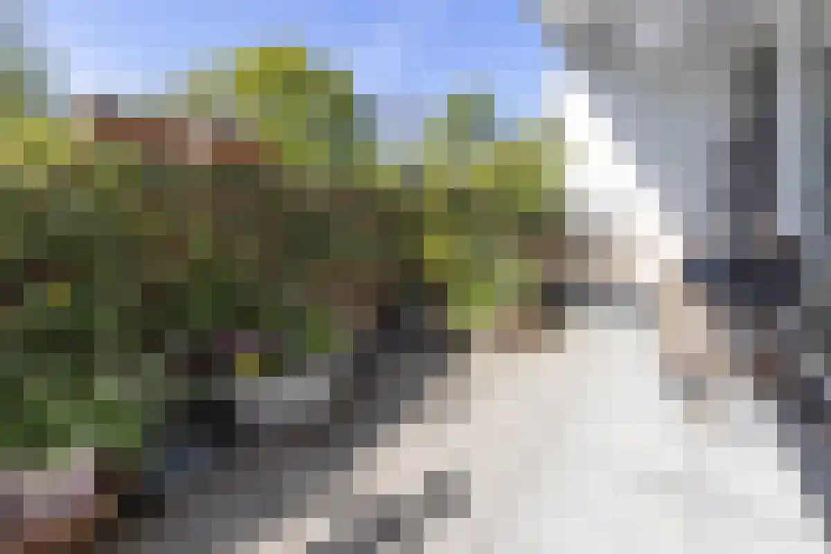 Zakedijkje 38 E Bergen (NH) thumbnail 9