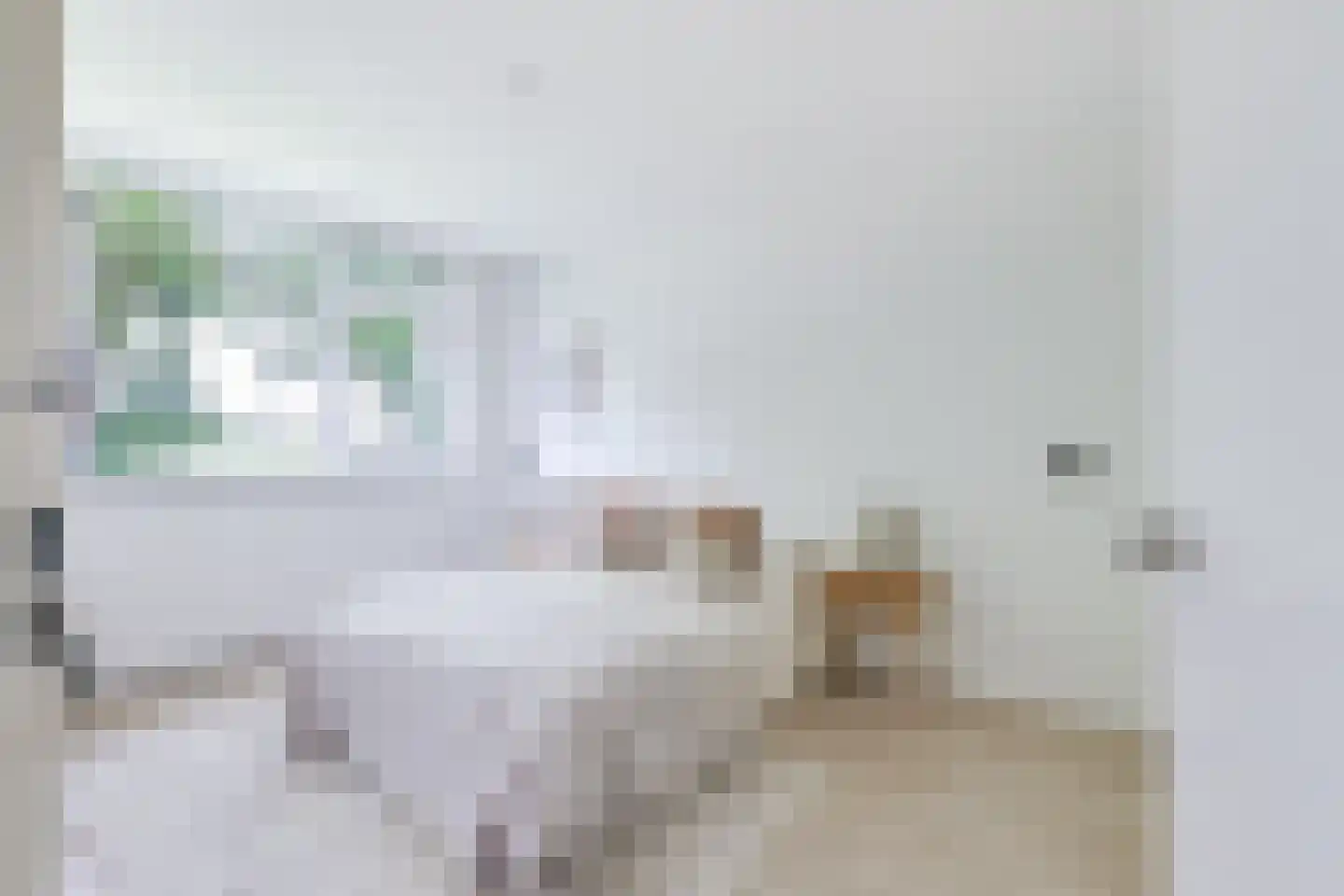 Zakedijkje 64 Bergen (NH) thumbnail 30