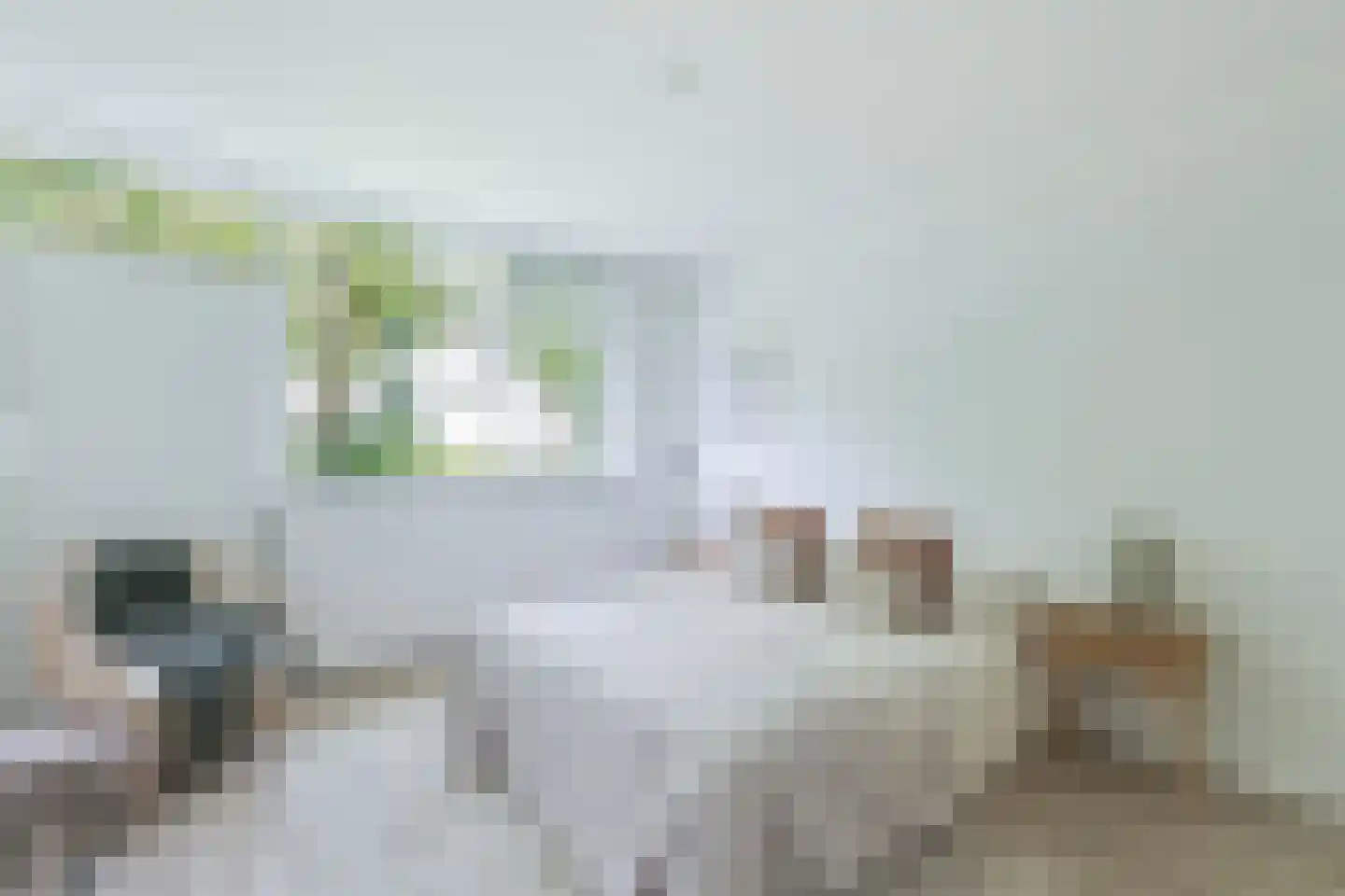 Zakedijkje 64 Bergen (NH) thumbnail 31