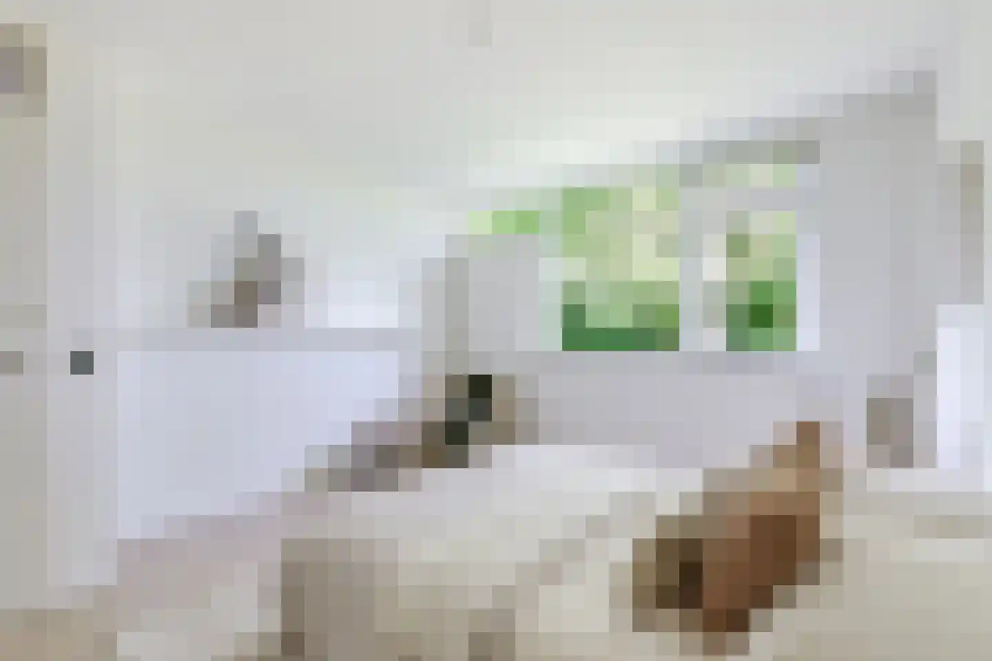 Zakedijkje 64 Bergen (NH) thumbnail 32