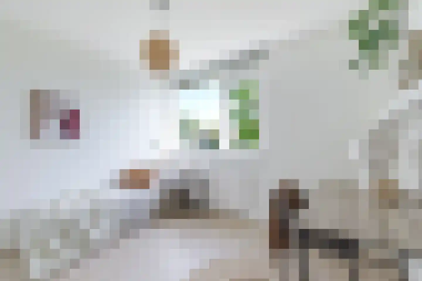 Zakedijkje 64 Bergen (NH) thumbnail 38