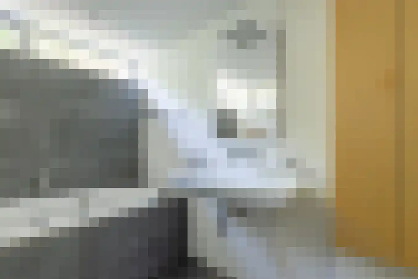 Zakedijkje 64 Bergen (NH) thumbnail 42