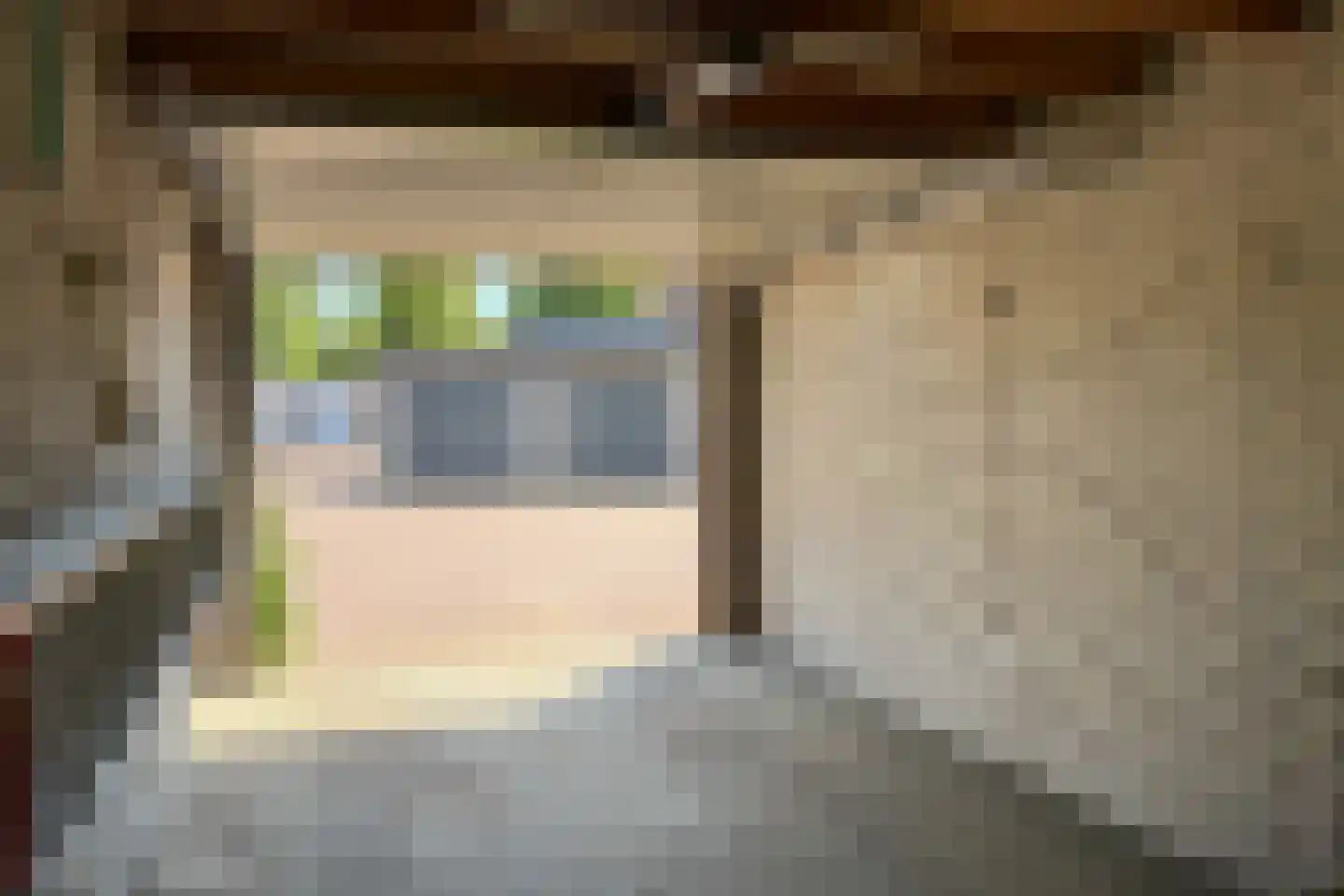 Zakedijkje 64 Bergen (NH) thumbnail 63