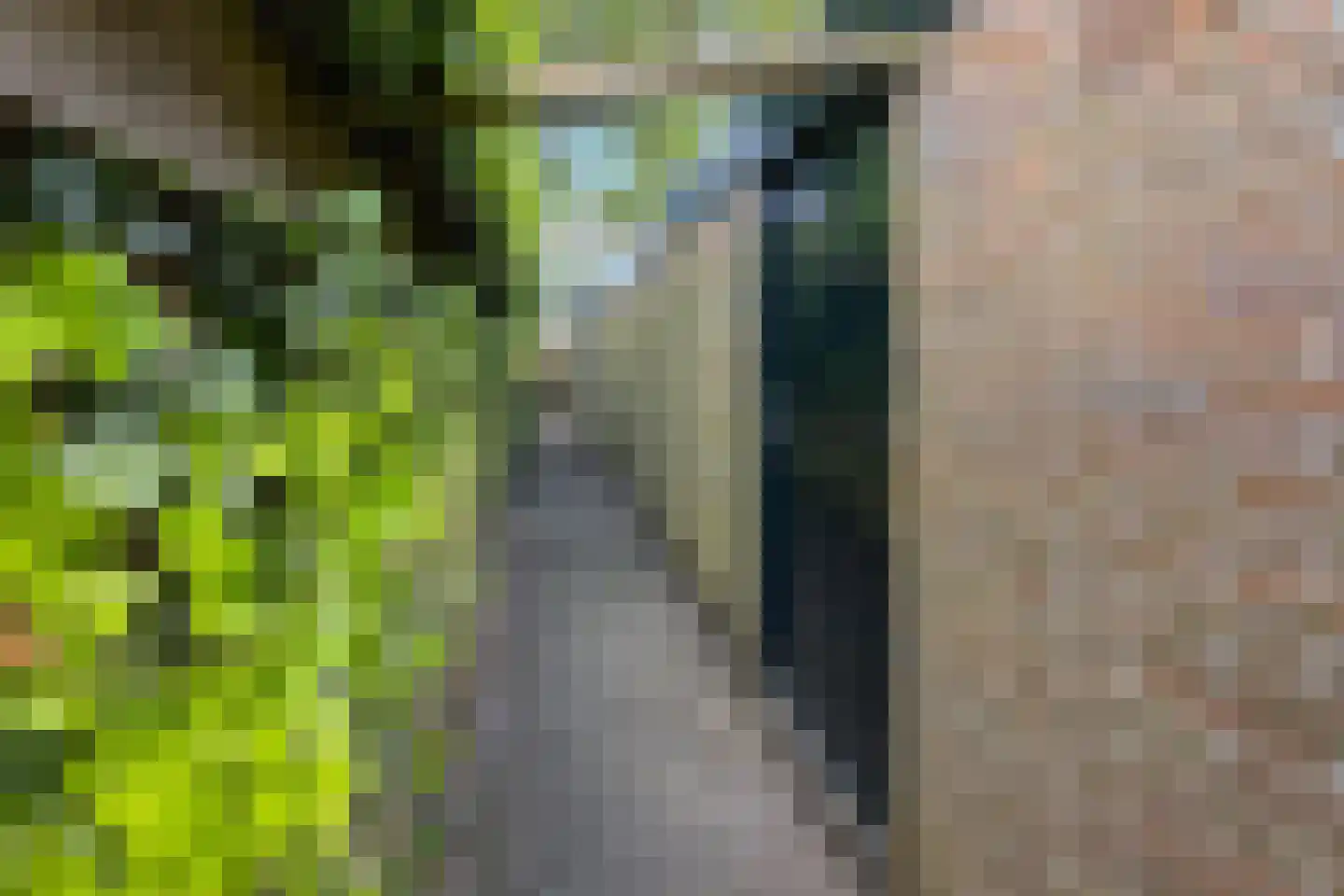 Zakedijkje 64 Bergen (NH) thumbnail 65