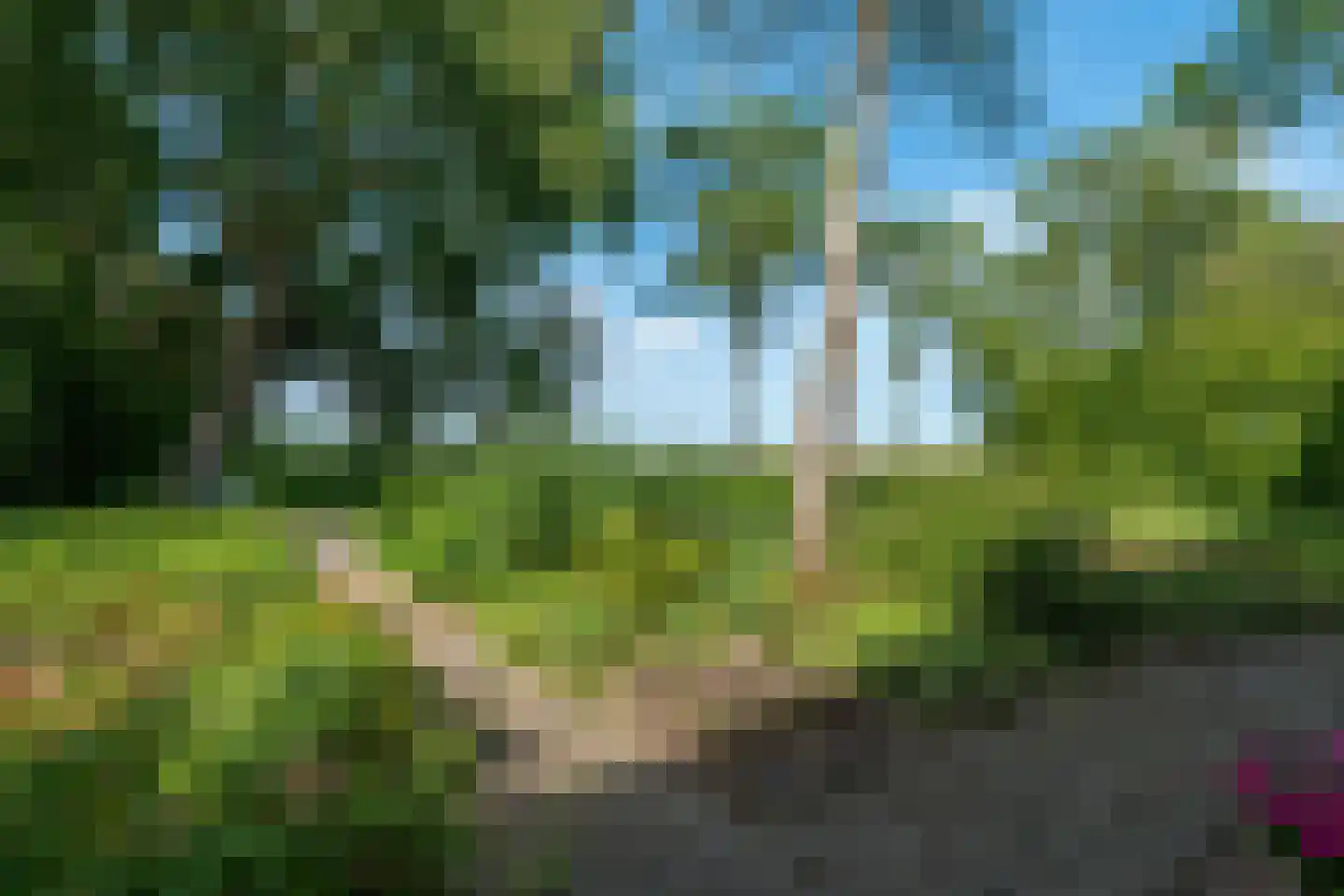 Zakedijkje 64 Bergen (NH) thumbnail 73