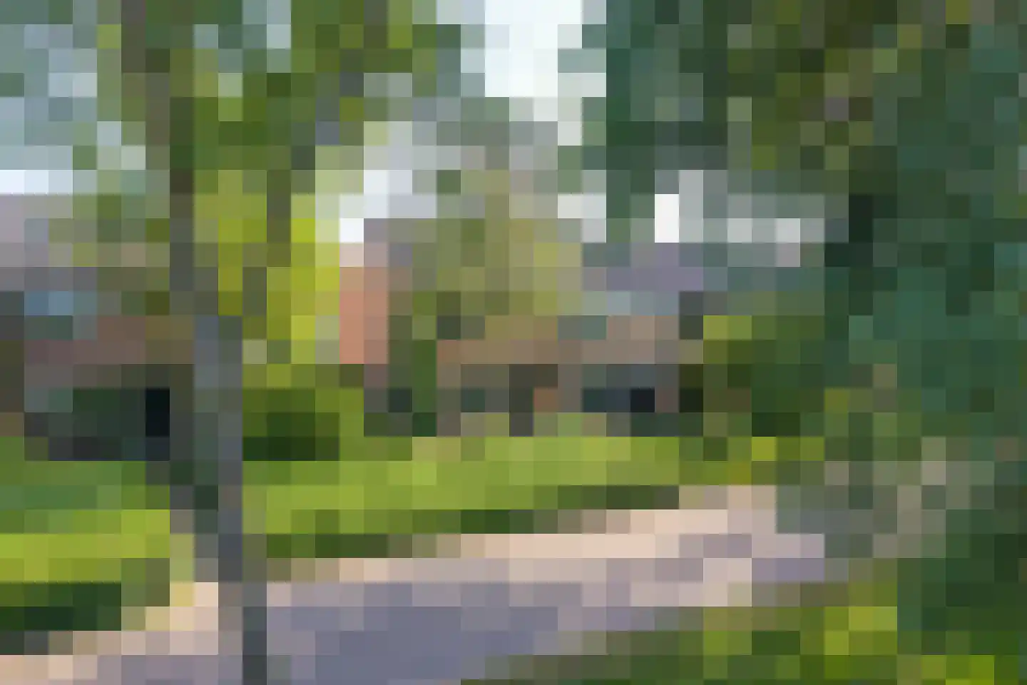 Zakedijkje 64 Bergen (NH) thumbnail 78