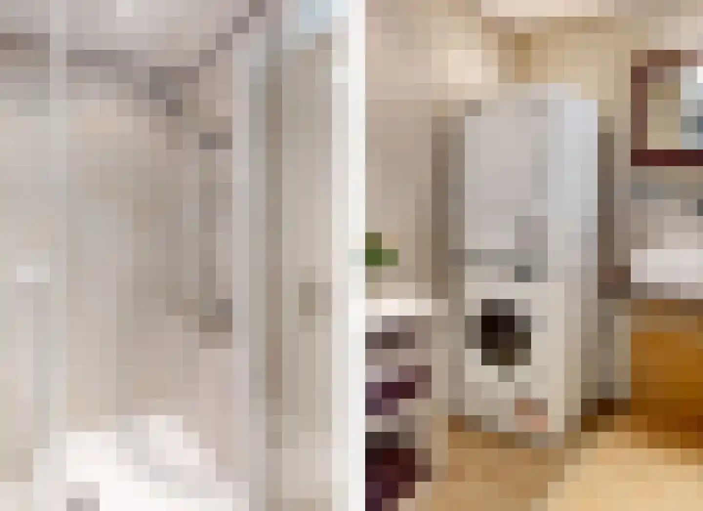 Zakkendragershof 21 Utrecht thumbnail 16