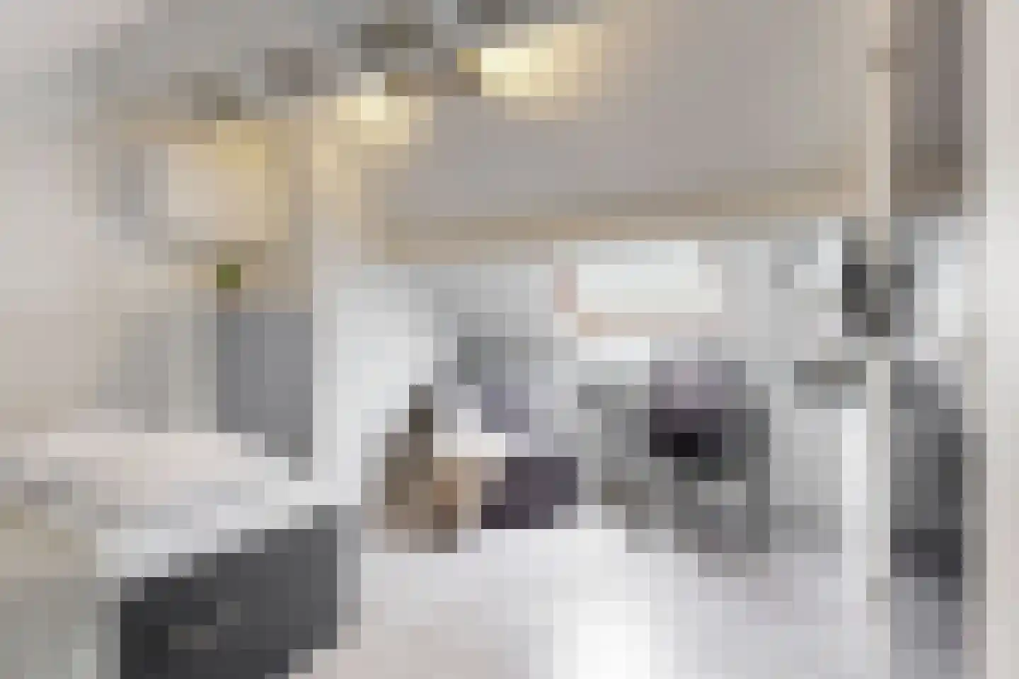 Zakkendragershof 21 Utrecht thumbnail 17