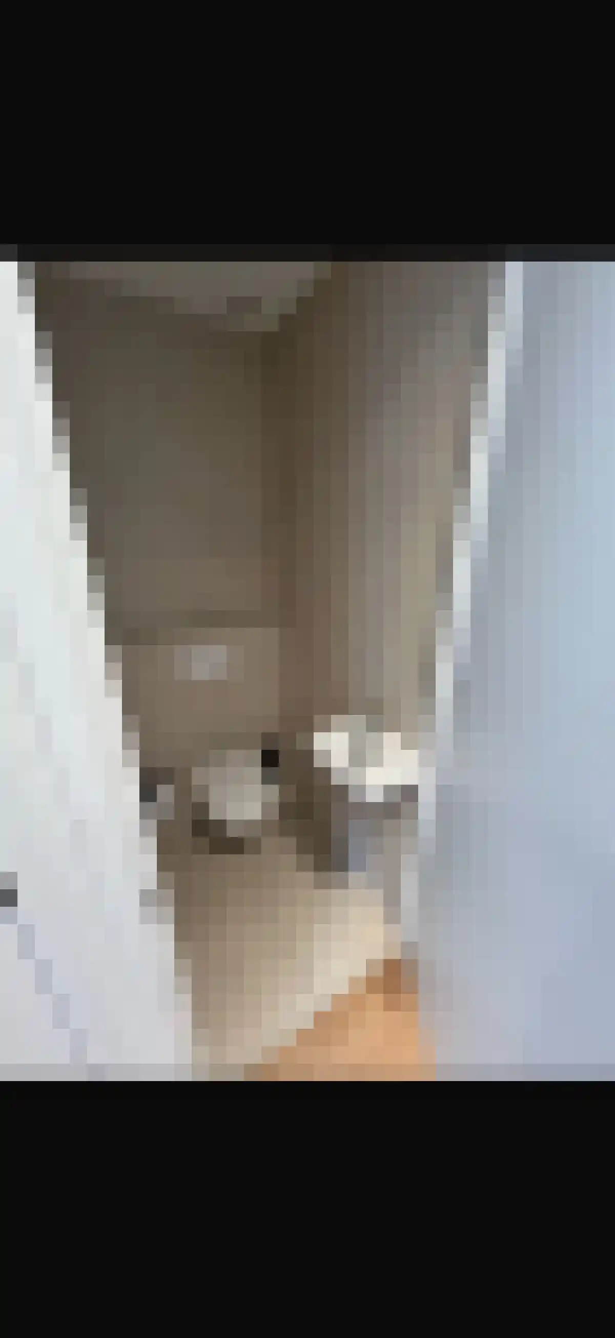 Zakkendragerssteeg 20 Utrecht thumbnail 4