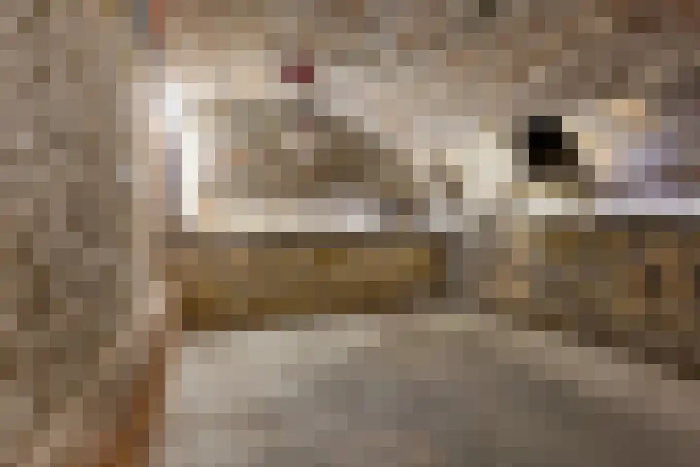 Zakstraat 6 Maastricht thumbnail 22