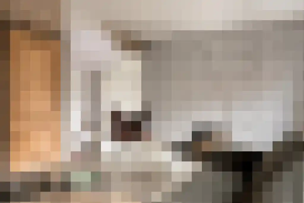 Zakstraat 6 Maastricht thumbnail 4