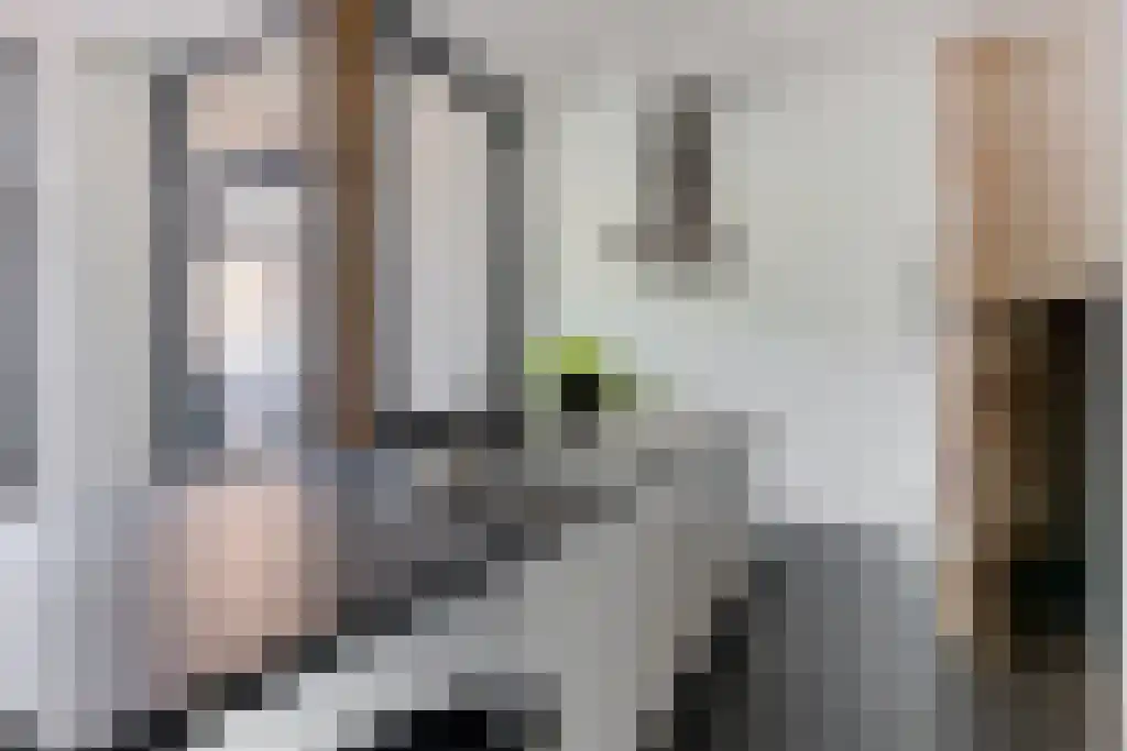 Zakstraat 6 Maastricht thumbnail 6