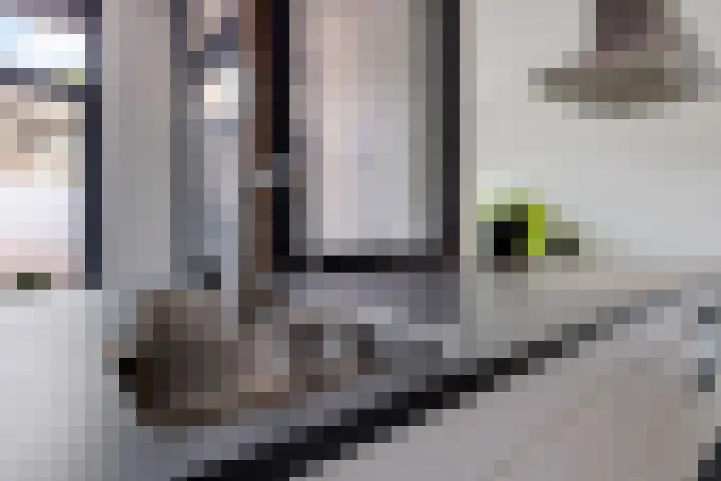 Zakstraat 6 Maastricht thumbnail 8