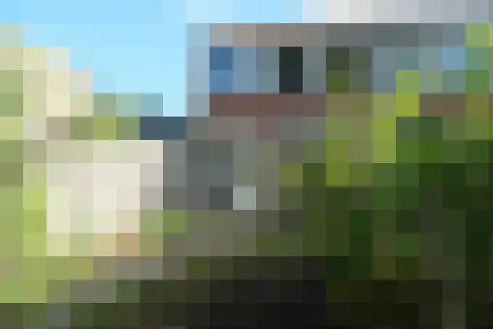 Zalenstraat 1 Culemborg thumbnail 12