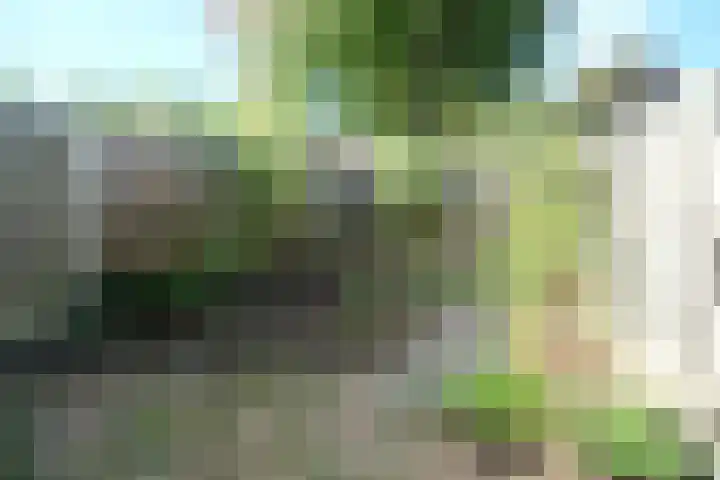 Zalenstraat 1 Culemborg thumbnail 13