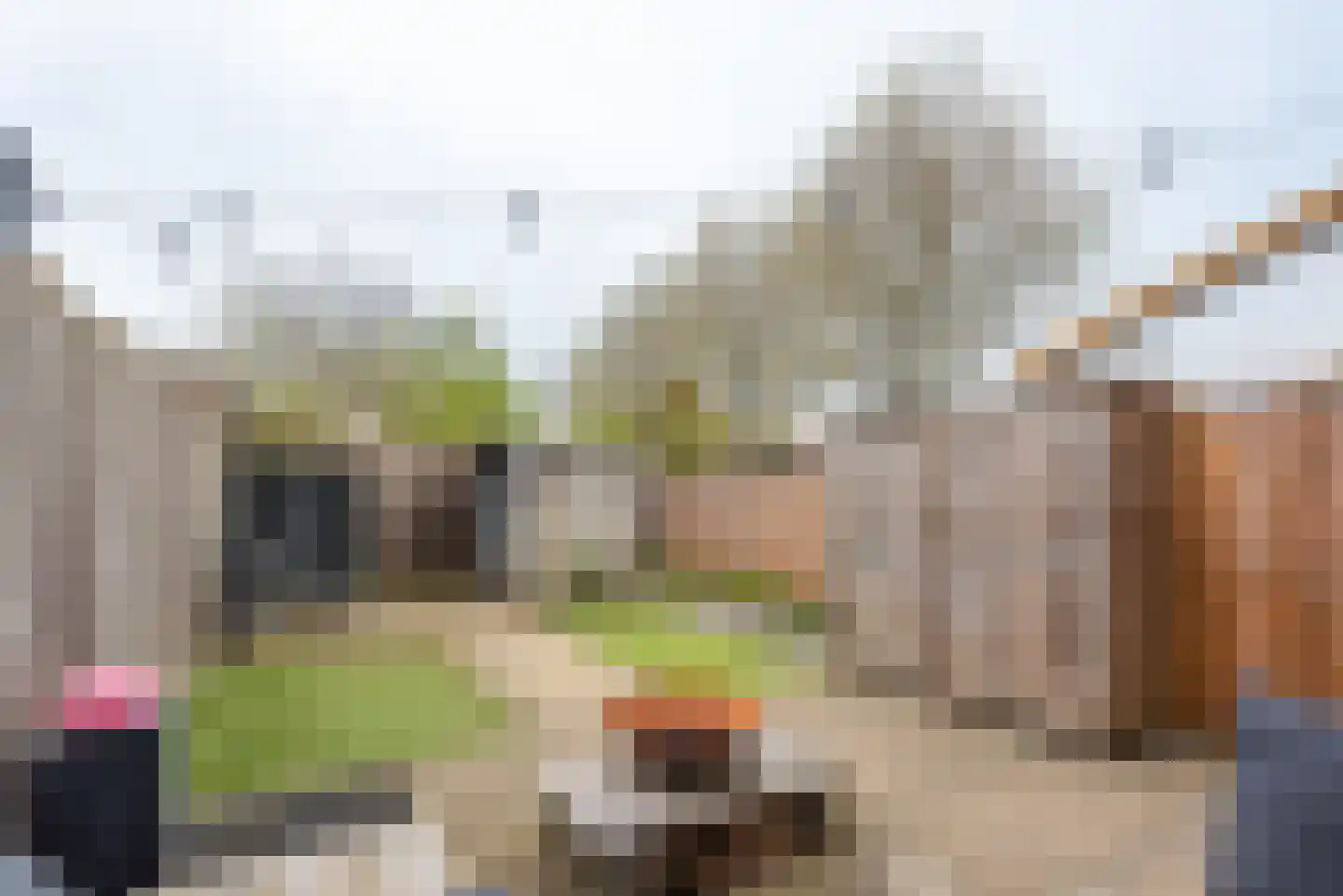 Zalenstraat 9 Culemborg thumbnail 13