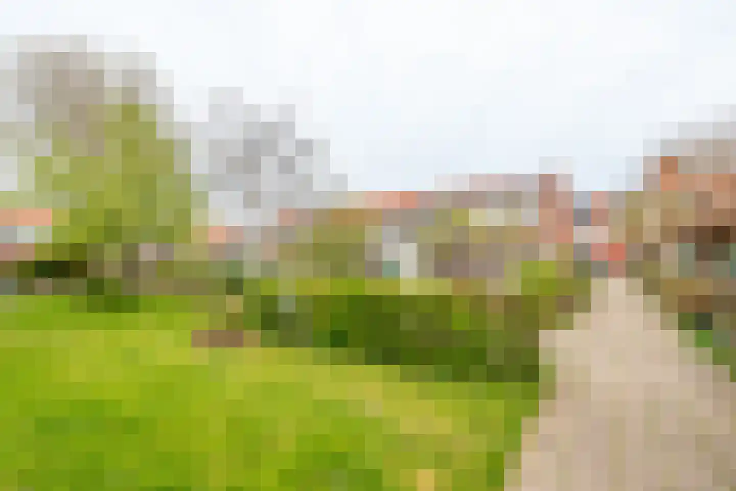Zalenstraat 9 Culemborg thumbnail 30