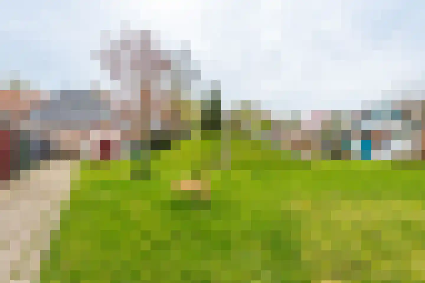 Zalenstraat 9 Culemborg thumbnail 32