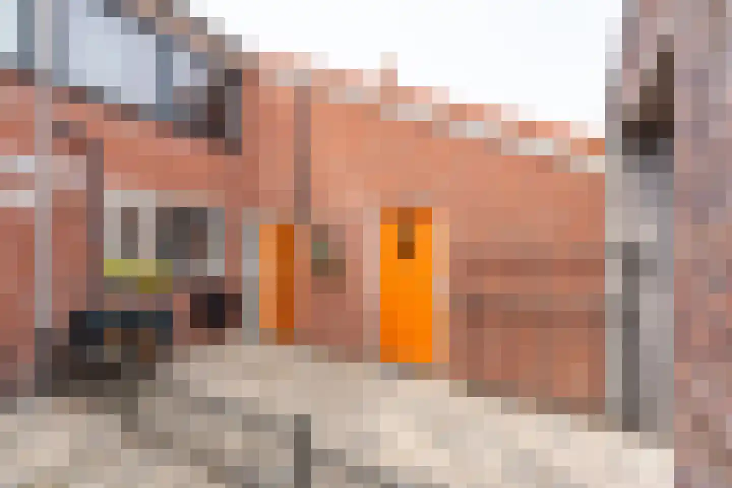 Zalenstraat 9 Culemborg thumbnail 5
