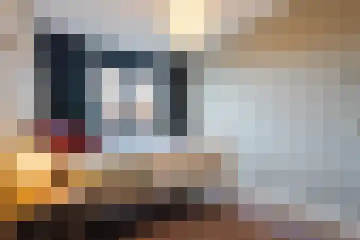 Zaligestraat 30 Lent thumbnail 25