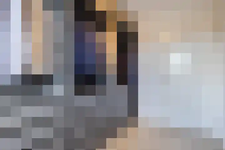 Zaligestraat 30 Lent thumbnail 28