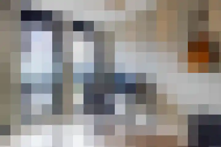 Zaligestraat 30 Lent thumbnail 29