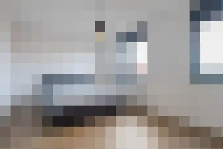 Zaligestraat 30 Lent thumbnail 36