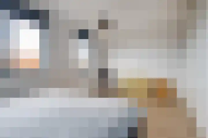 Zaligestraat 30 Lent thumbnail 38