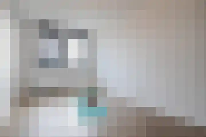 Zaligestraat 30 Lent thumbnail 39