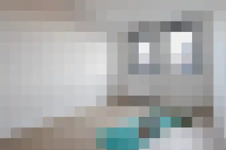 Zaligestraat 30 Lent thumbnail 40