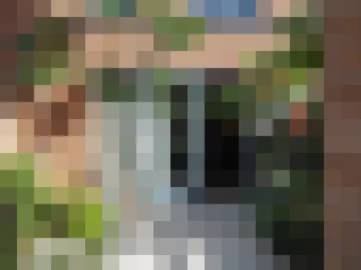 Zaligestraat 30 Lent thumbnail 51