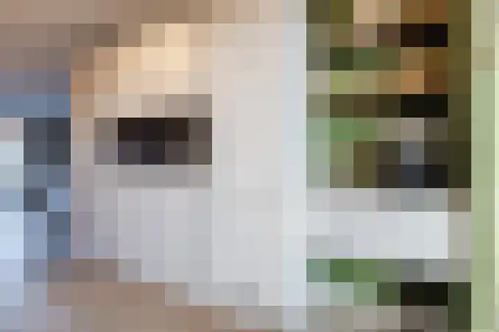 Zaligestraat 30 Lent thumbnail 6