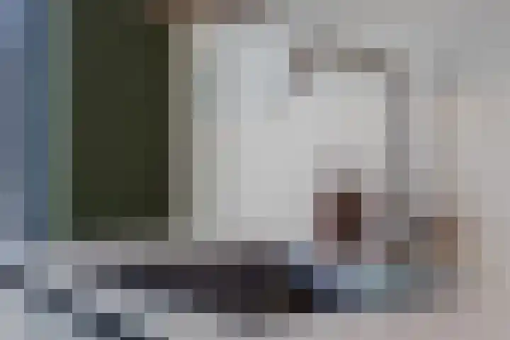 Zaligestraat 30 Lent thumbnail 7