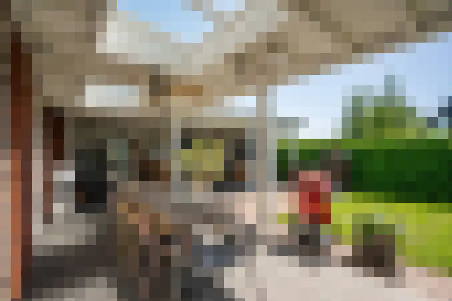 Zaling 113 Papendrecht thumbnail 35
