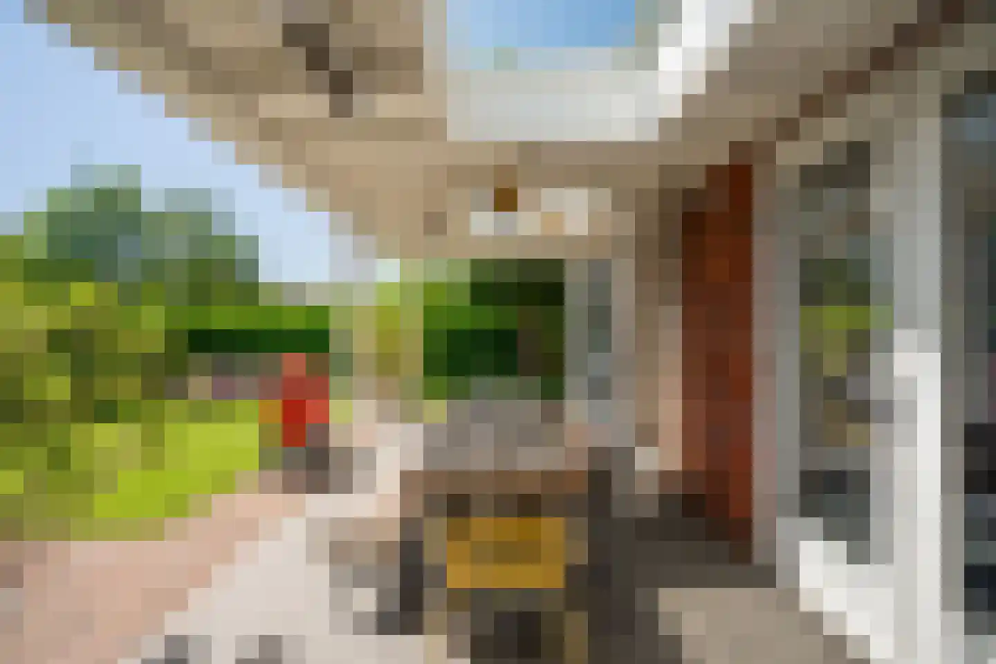 Zaling 113 Papendrecht thumbnail 36