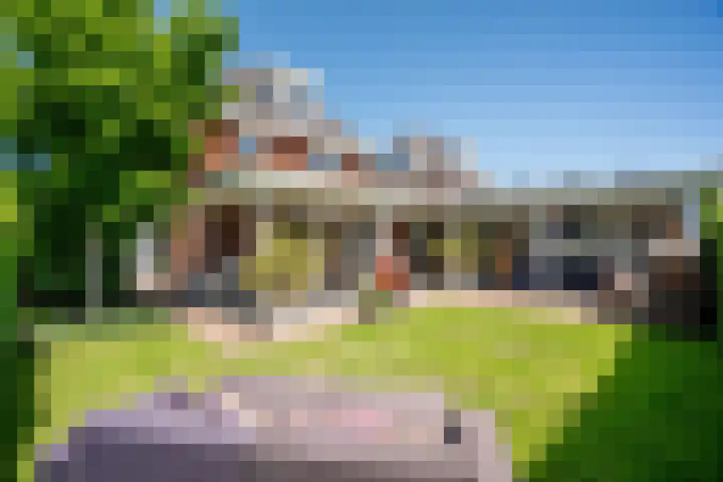 Zaling 113 Papendrecht thumbnail 4