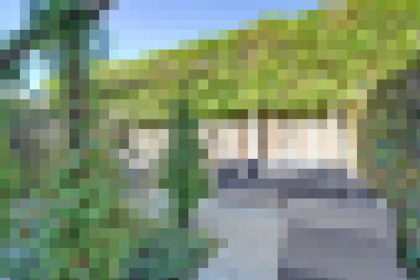 Zaling 92 Papendrecht thumbnail 11