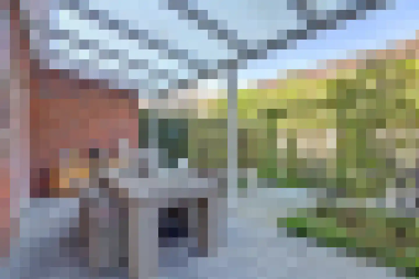 Zaling 92 Papendrecht thumbnail 42