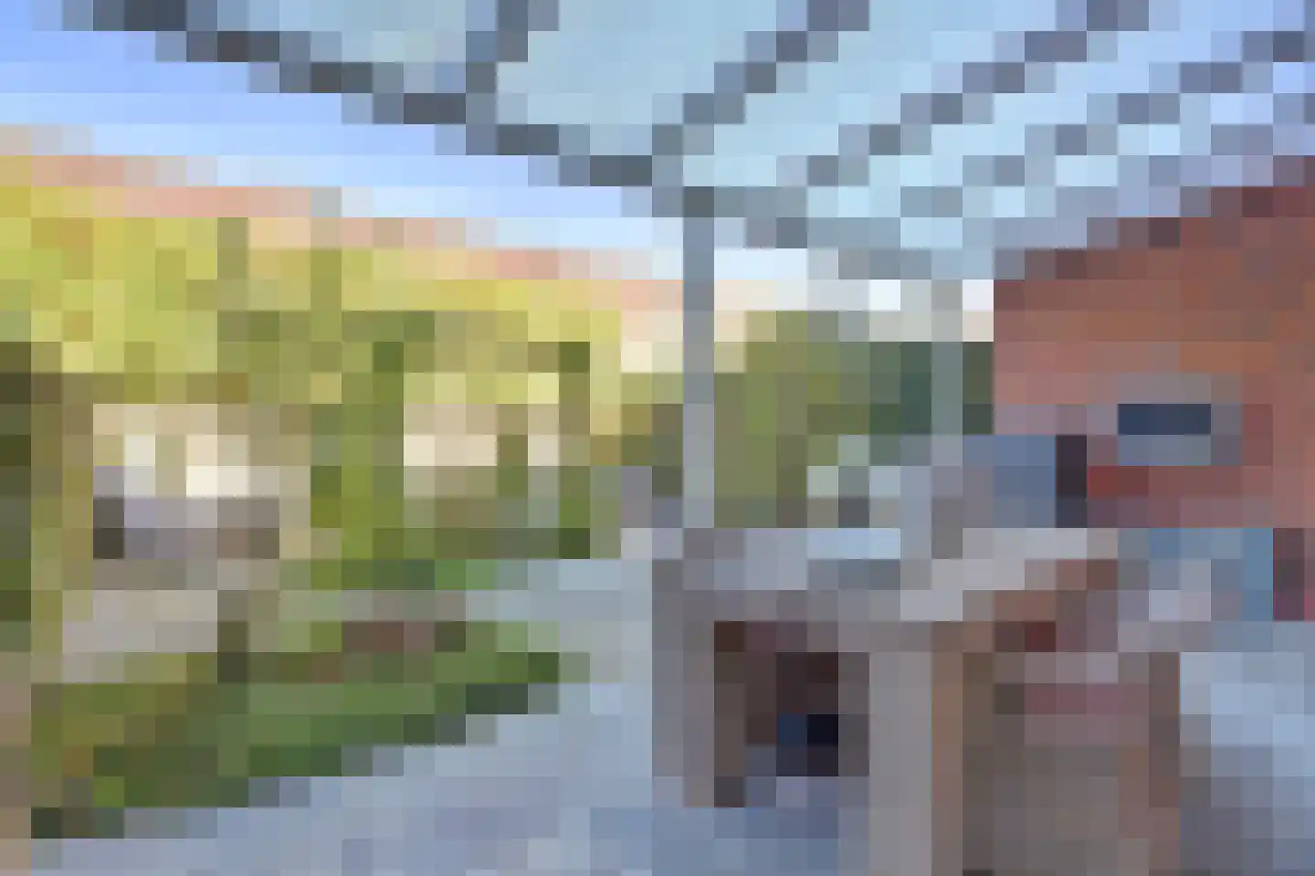 Zaling 92 Papendrecht thumbnail 6
