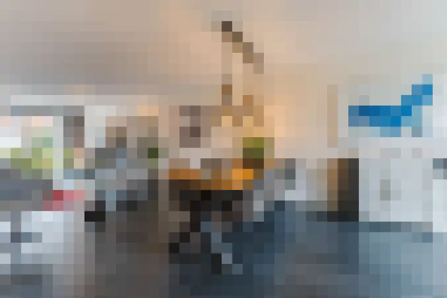 Zaling 98 Papendrecht thumbnail 16