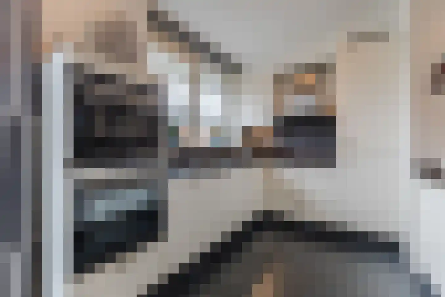 Zaling 98 Papendrecht thumbnail 19